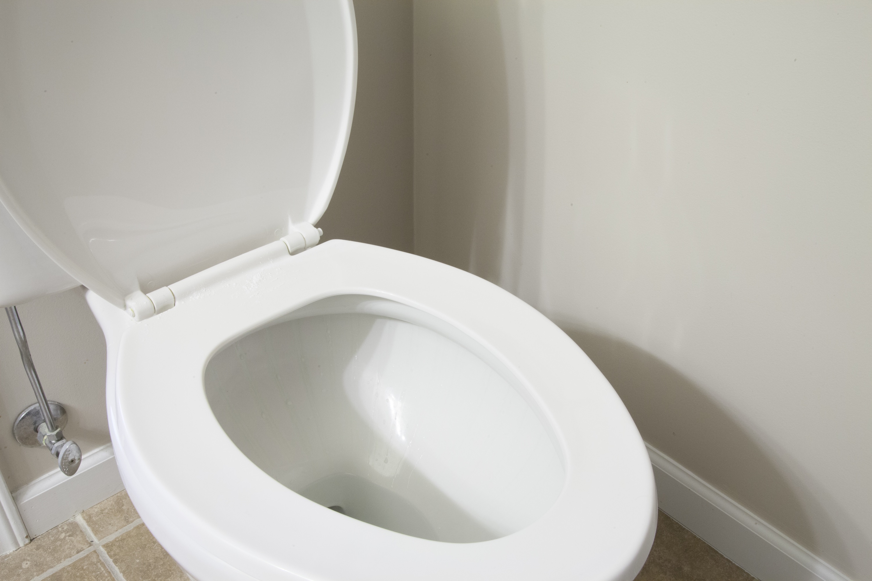 Will A Toilet Fit In My Car FitnessRetro